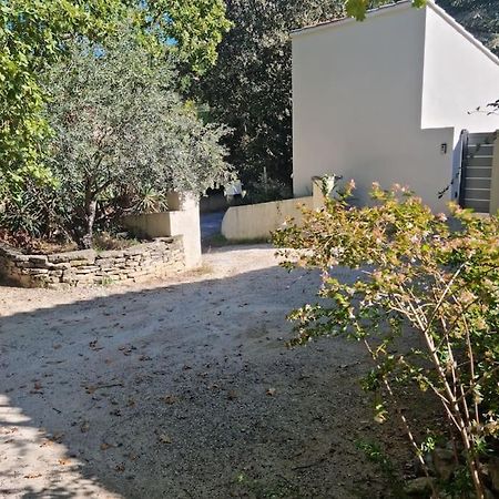 Robion en Luberon Nouveaute Studio Sur Les Hauteurs. מראה חיצוני תמונה